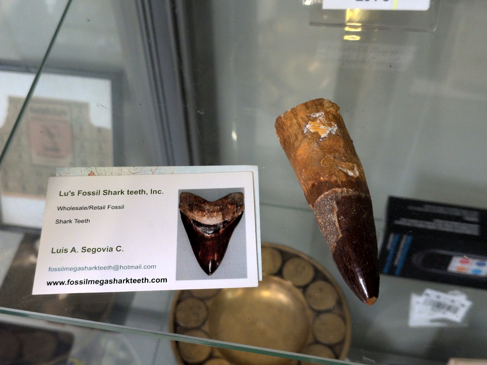 Los 192 – 1 Fossil