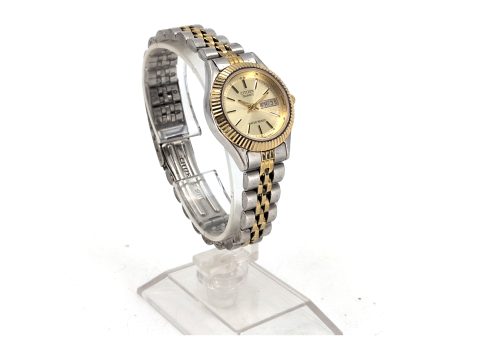 1 DAU, Citizen